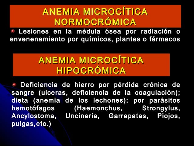 causas anemia microcitica hipocromica